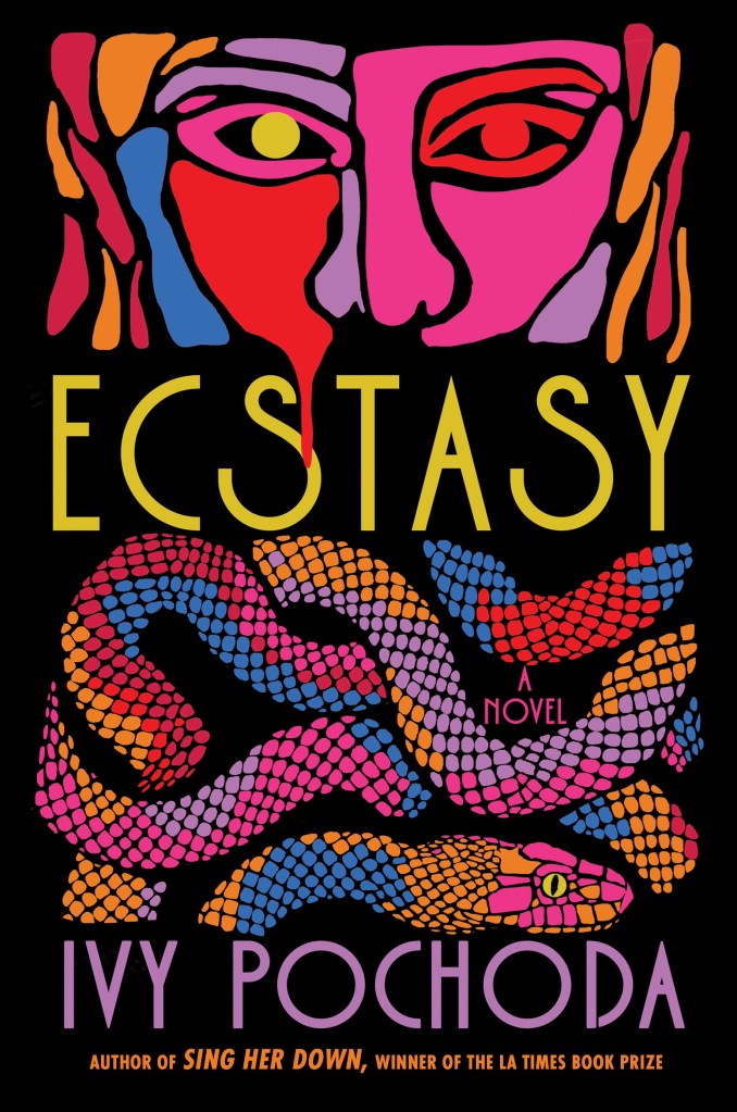 book cover of Ecstasy by Ivy Pochoda