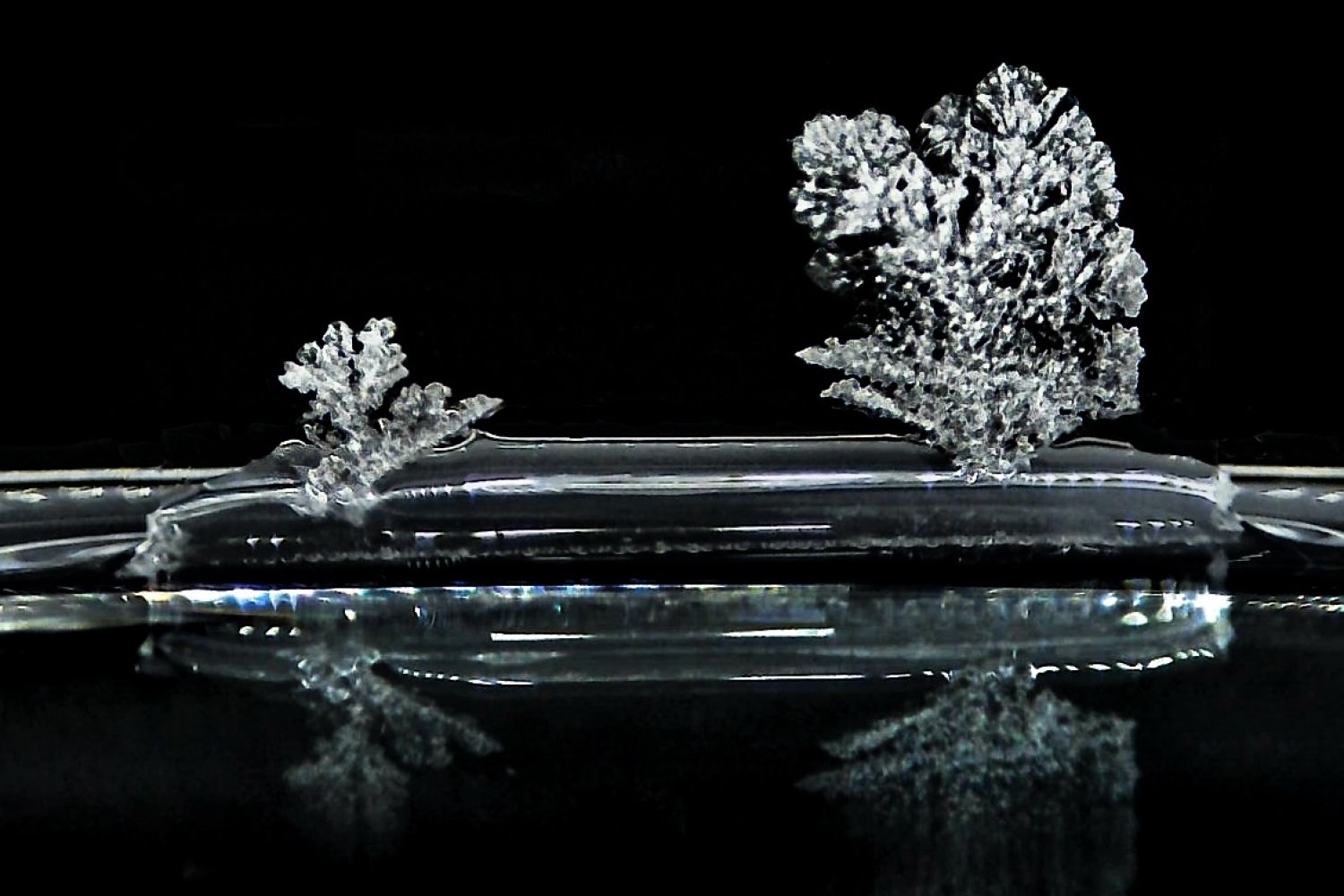 Creeping crystals: Scientists observe “salt creep” at the single-crystal scale | MIT News
