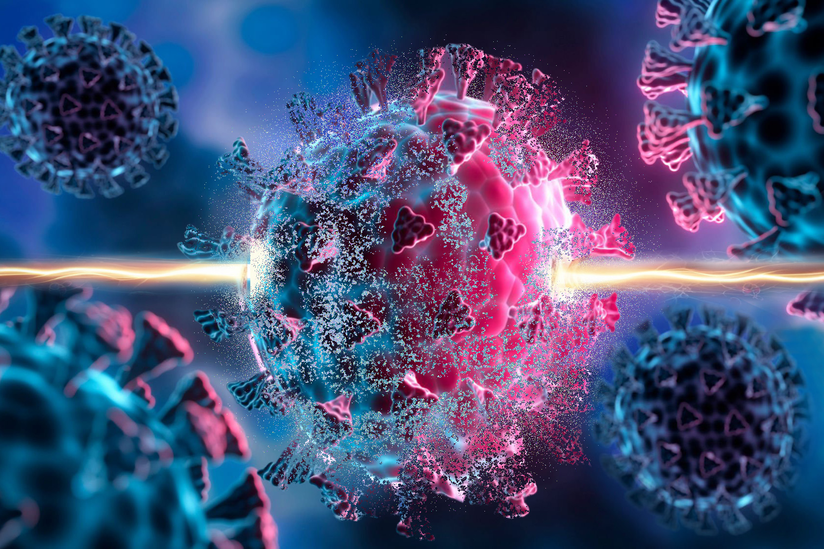 Scientists discover compounds that help cells fight a wide range of viruses | MIT News